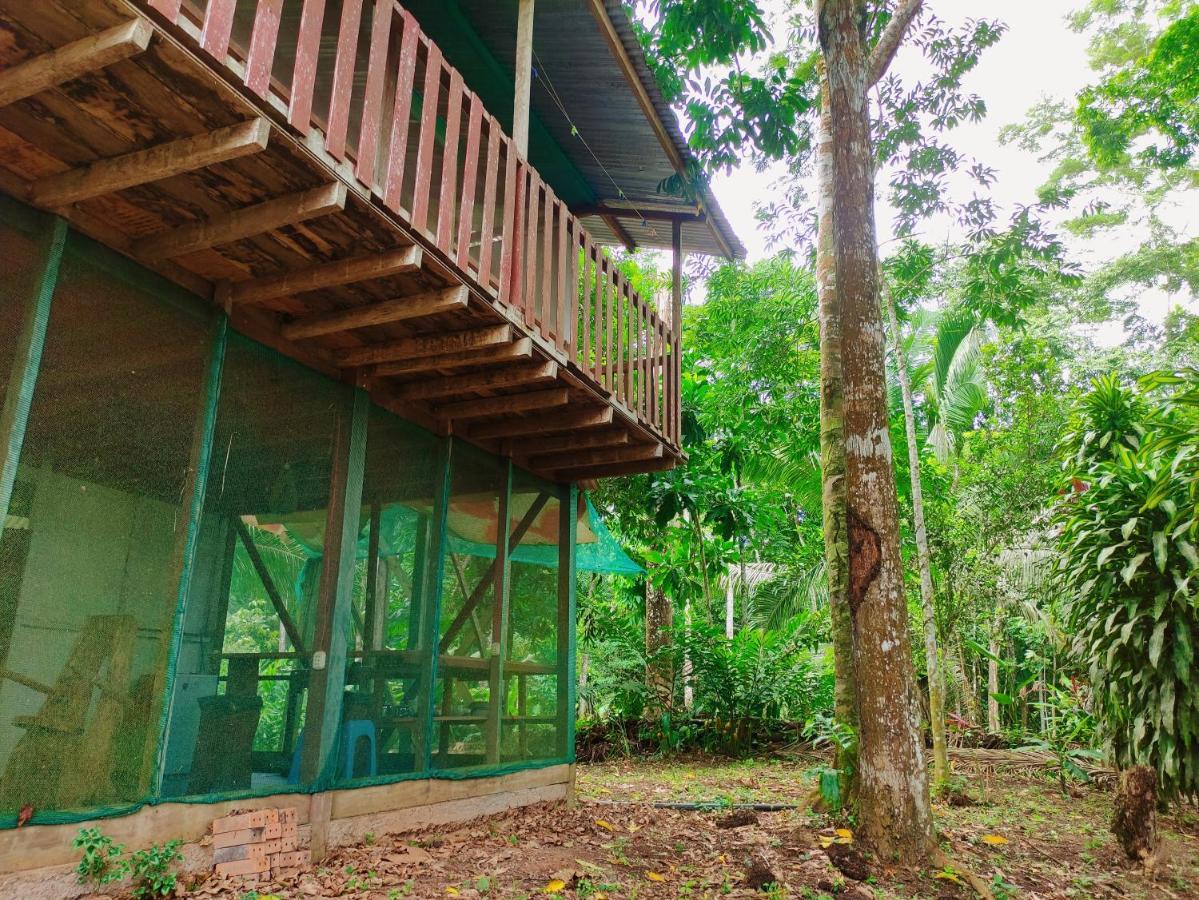 K'Erenda Homet Reserva Natural 马尔多纳多港 外观 照片