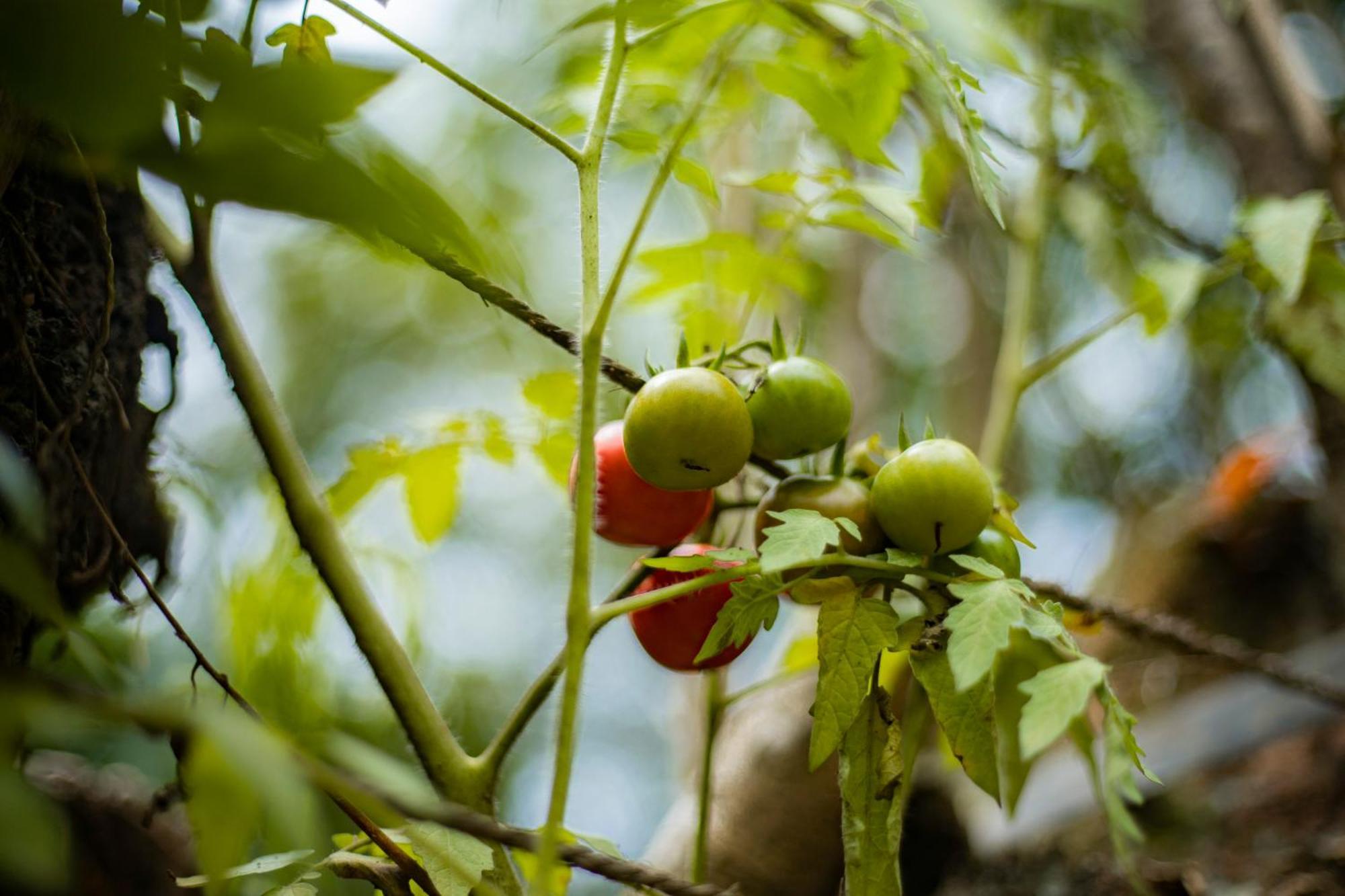 K'Erenda Homet Reserva Natural 马尔多纳多港 外观 照片