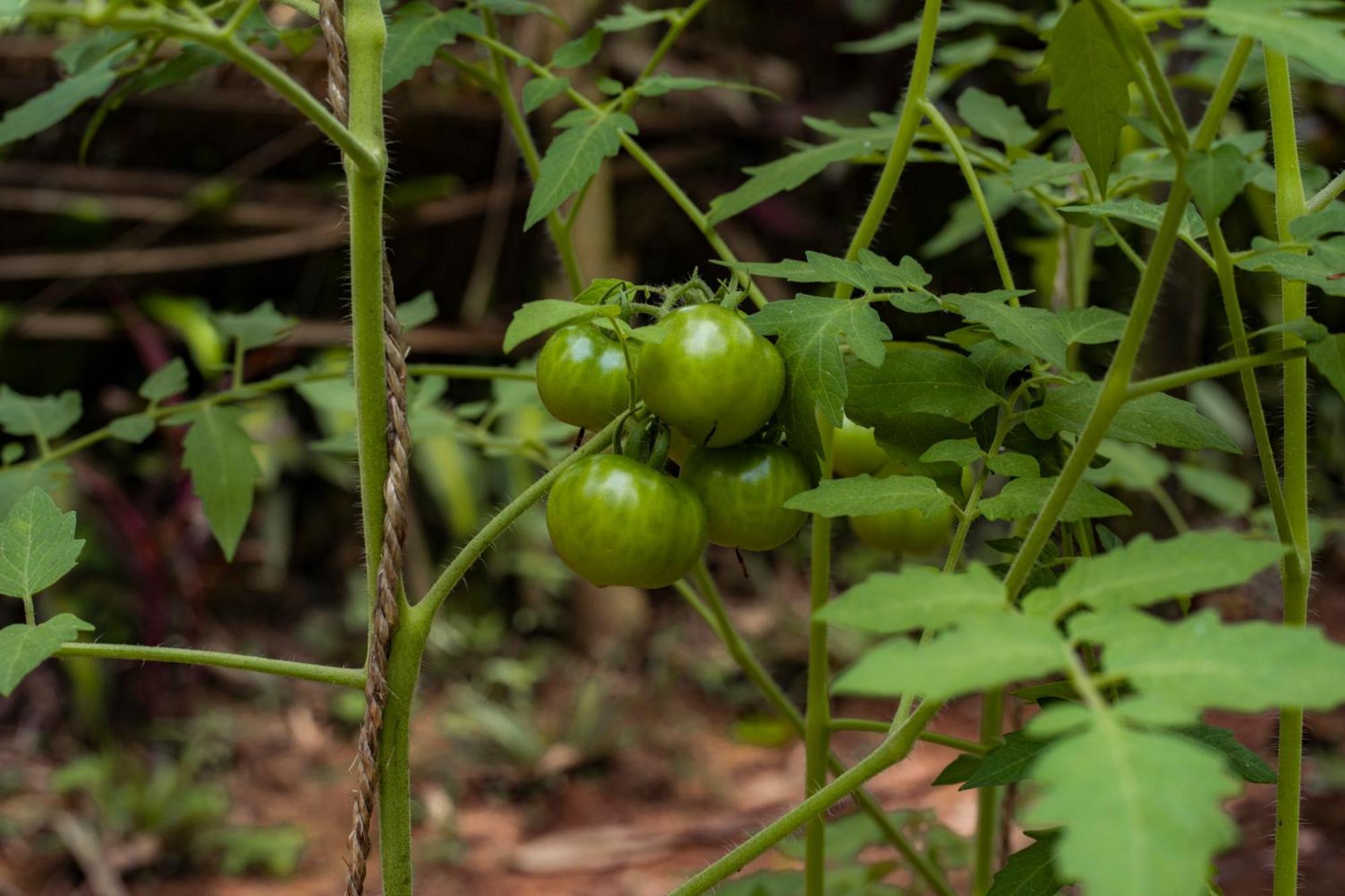 K'Erenda Homet Reserva Natural 马尔多纳多港 外观 照片