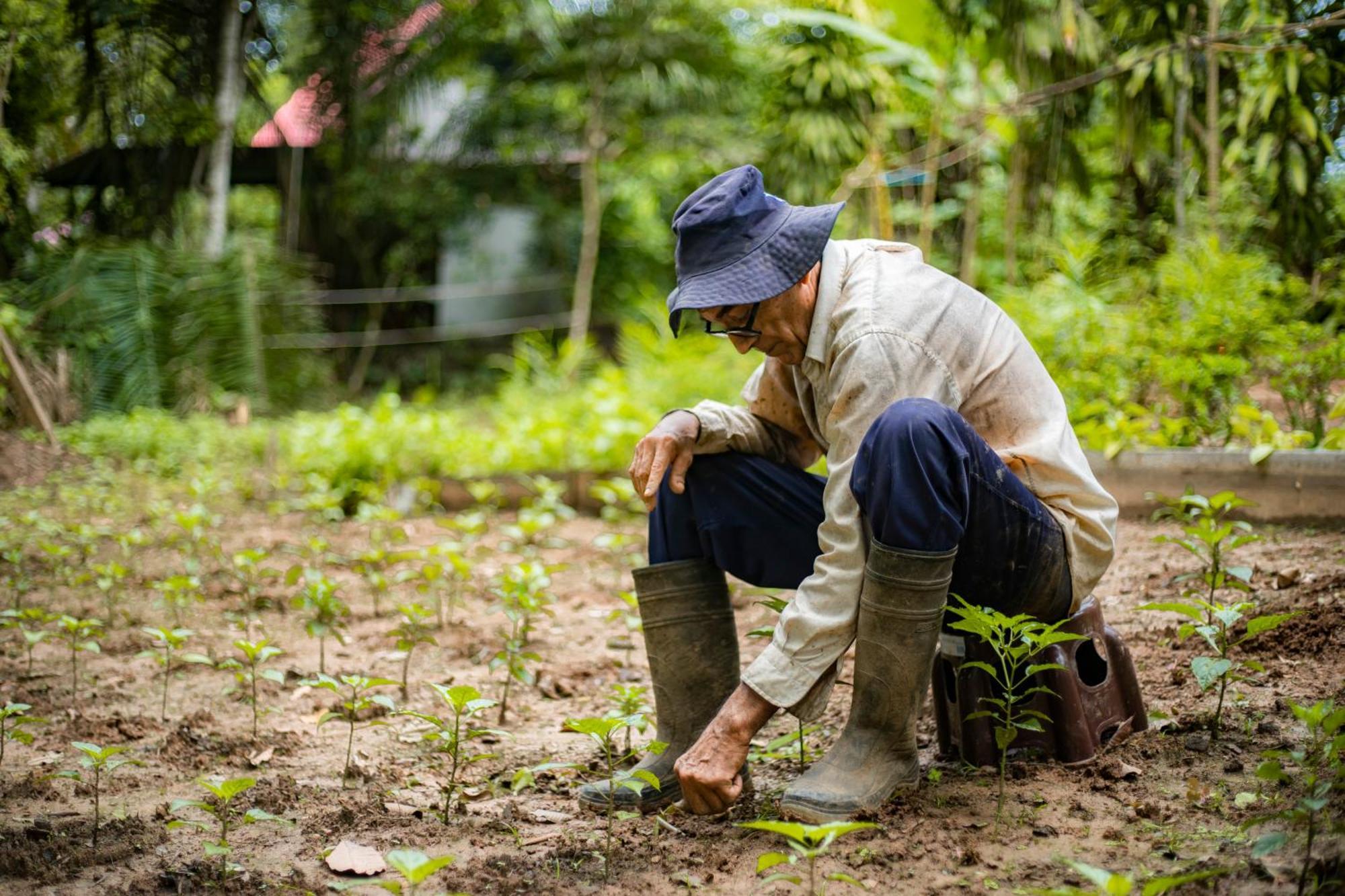 K'Erenda Homet Reserva Natural 马尔多纳多港 外观 照片