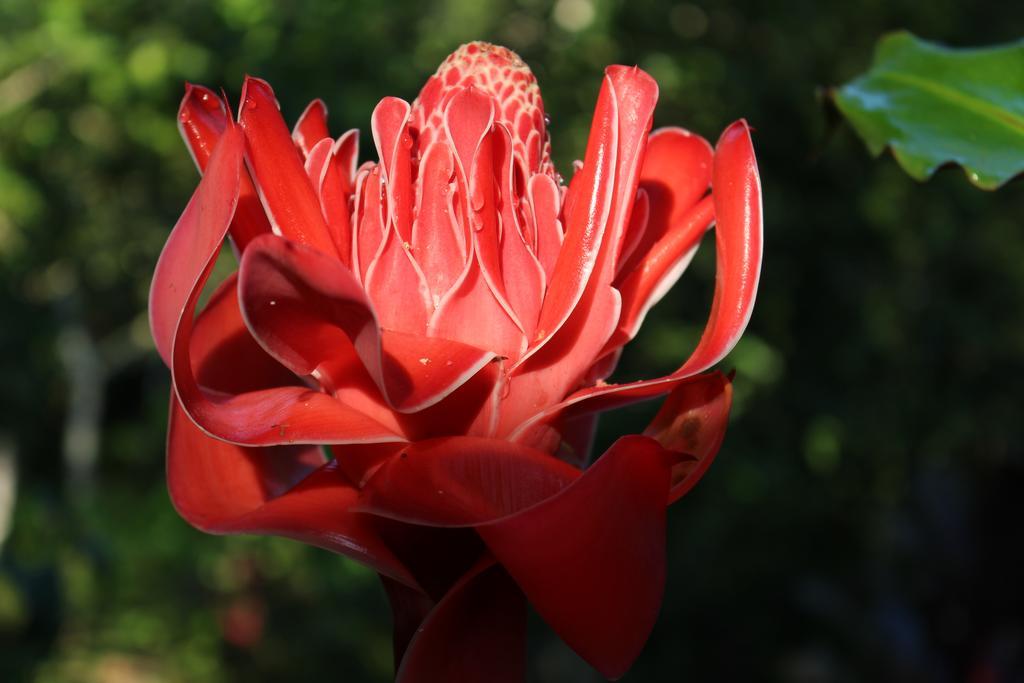 K'Erenda Homet Reserva Natural 马尔多纳多港 外观 照片