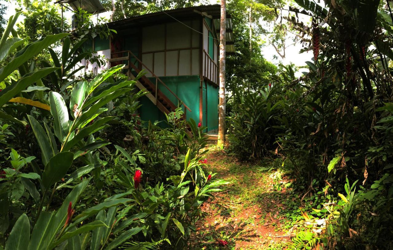 K'Erenda Homet Reserva Natural 马尔多纳多港 外观 照片