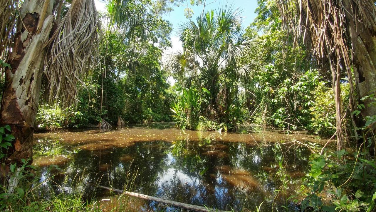 K'Erenda Homet Reserva Natural 马尔多纳多港 外观 照片